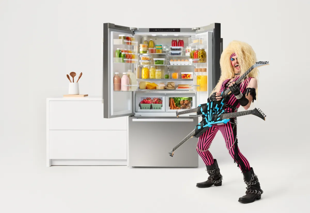 Bosch Refrigerator Repair